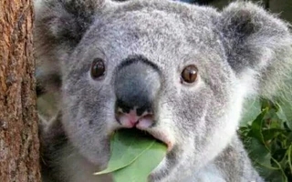 After two years of making fast money on the 