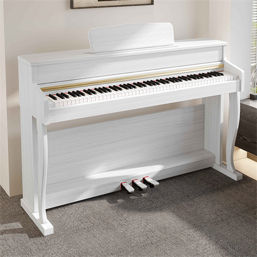 88-Key Beginner Dual Blu