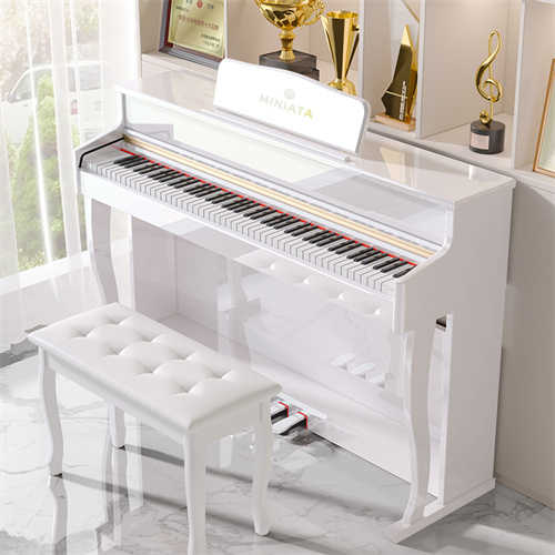 Terence electric piano 8