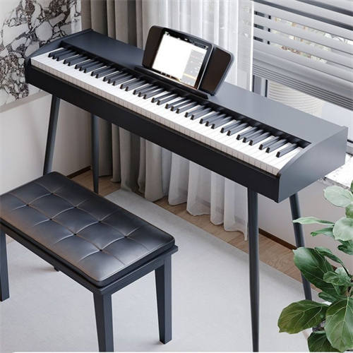 Foldable Electric Piano 