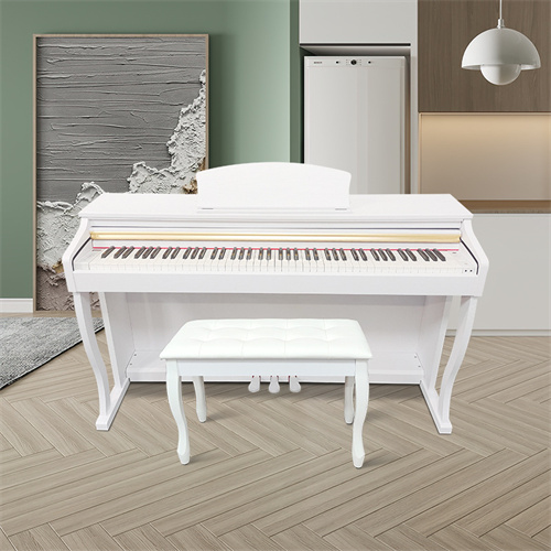 Norman foldable electric