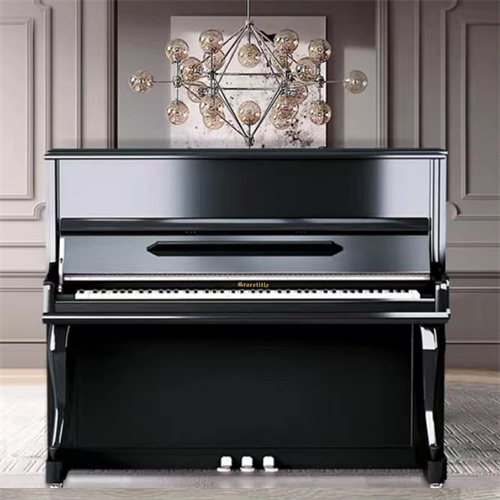 Home Piano Beginner Prof