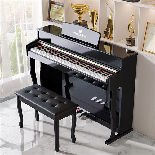 Eric electric piano 88-k